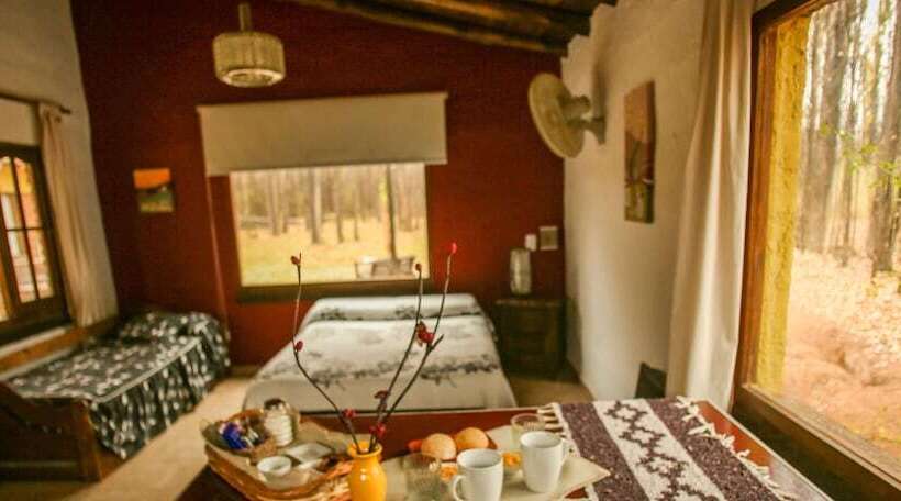 Cabañas En Malargue