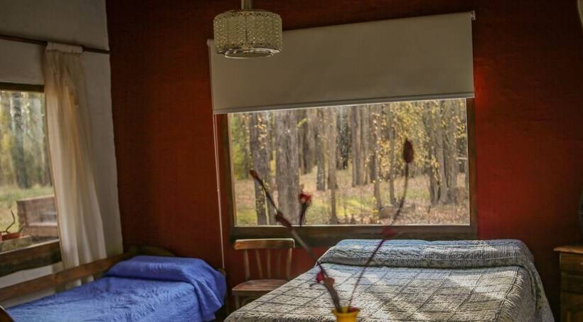 Cabañas En Malargue