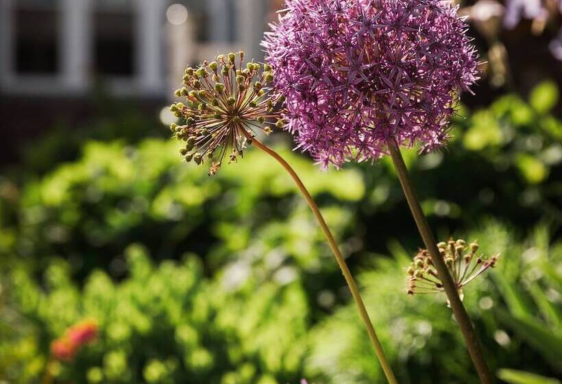 East Bay Bed & Breakfast