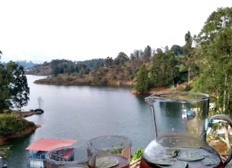 El Hostal De Liz   Hostel