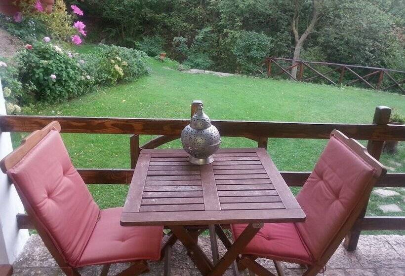 Forest View B&b