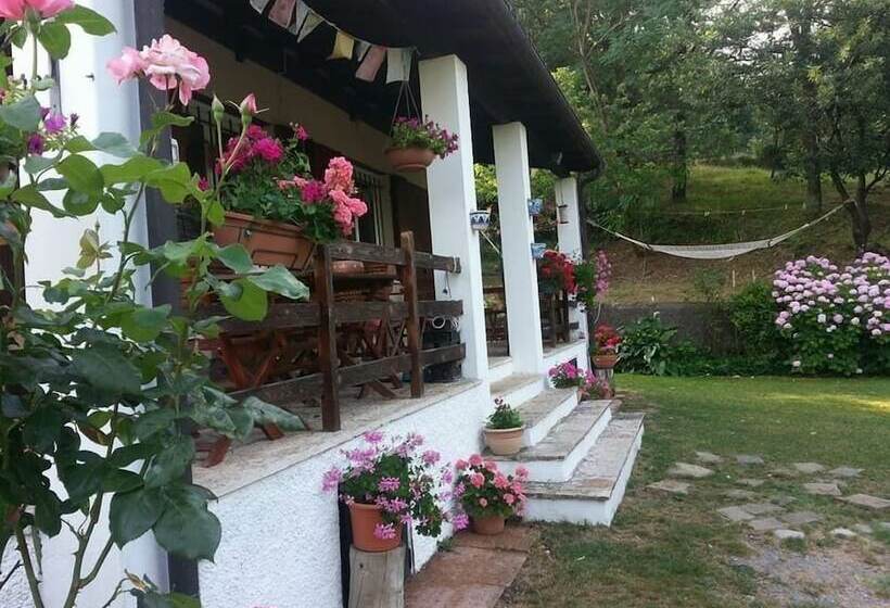 Forest View B&b