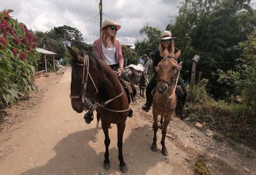 Happy Buddha Hostel Guatape