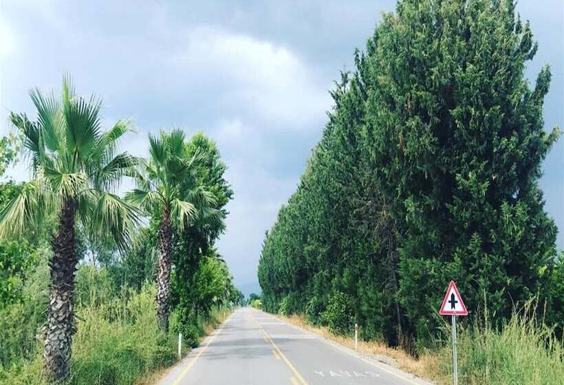 مسافرخانه Rivaesta Butik Hotel   Adults Only