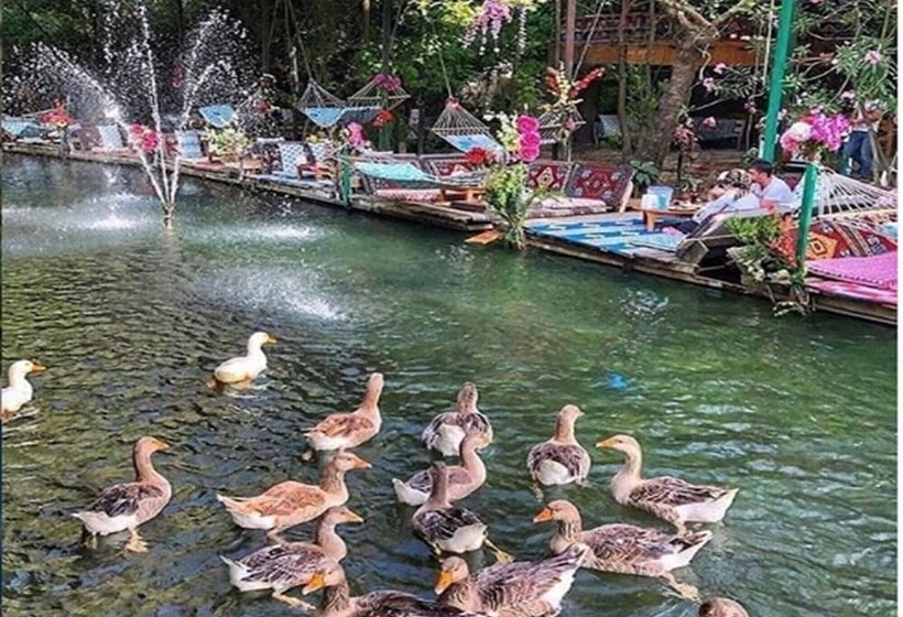 مسافرخانه Rivaesta Butik Hotel   Adults Only