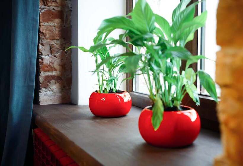 Hostels Rus Yaroslavl