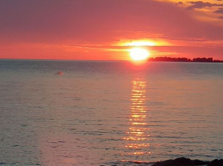 ホテル Askeviks Camping & Stugor