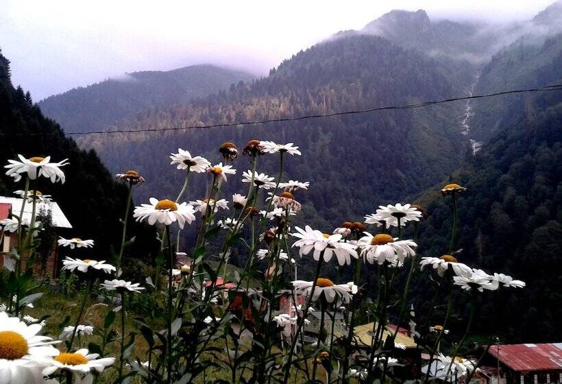 בית מלון כפרי Ayder Liligum Dag Evi