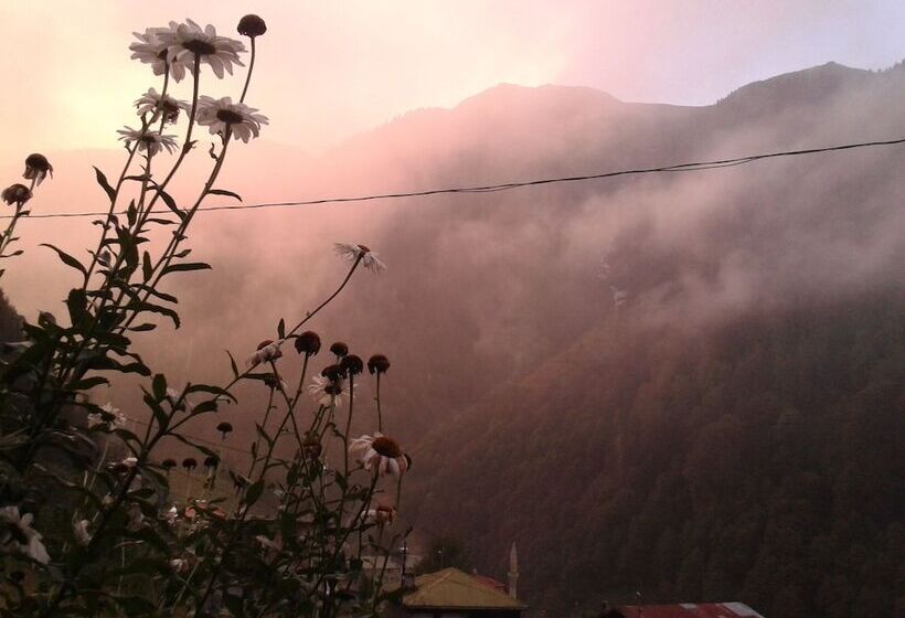 בית מלון כפרי Ayder Liligum Dag Evi