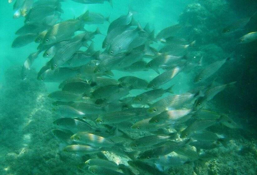 בית מלון כפרי Bahia Rica Fishing & Kayak Lodge