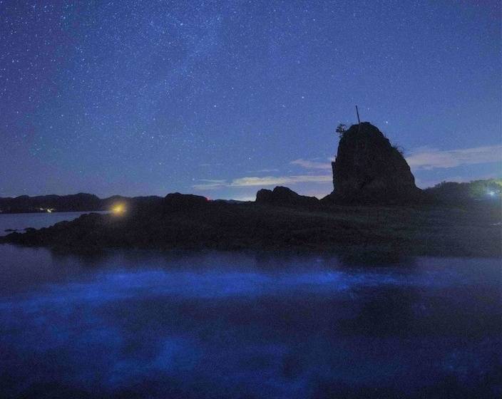 בית מלון כפרי Bahia Rica Fishing & Kayak Lodge