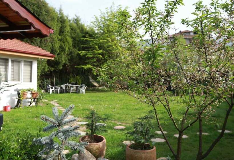 فندق Best In Deniz 2