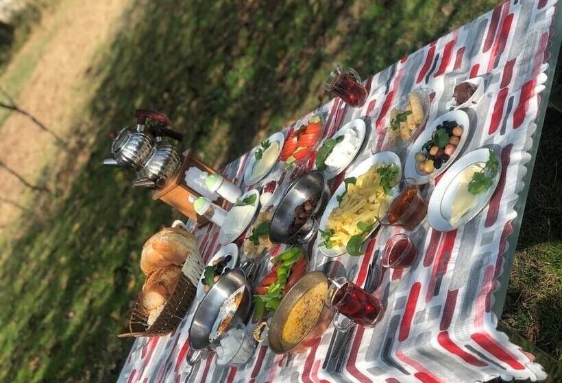 هتل Best In Deniz 2