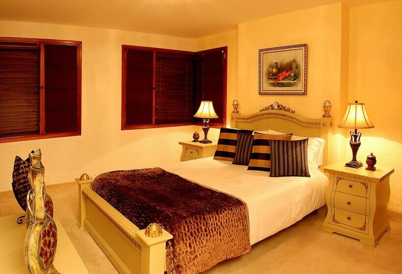 هتل Boutique Casa Caballero