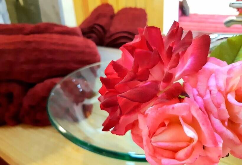 בית מלון כפרי Brisa Del Cielo