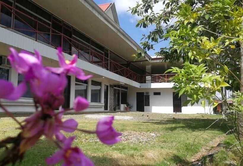 호텔 Brisas Del Volcán Platanar