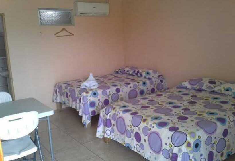 호텔 Brisas Del Volcán Platanar