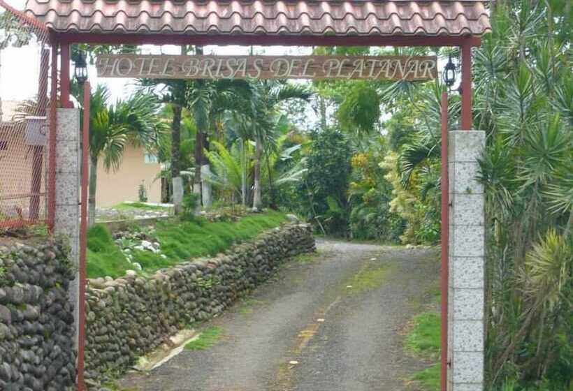 호텔 Brisas Del Volcán Platanar