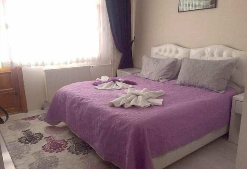 Отель Butik Doga Pansiyon