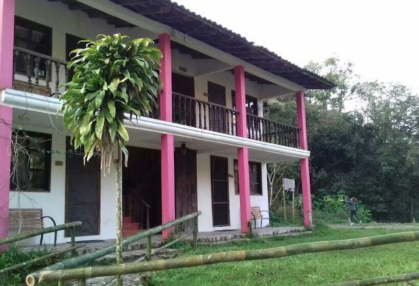 هتل & Cabañas Amara Café