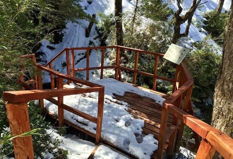 호텔 Cabañas Choshuenco