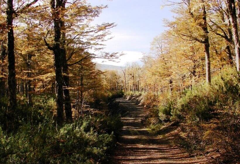 호텔 Cabañas Choshuenco