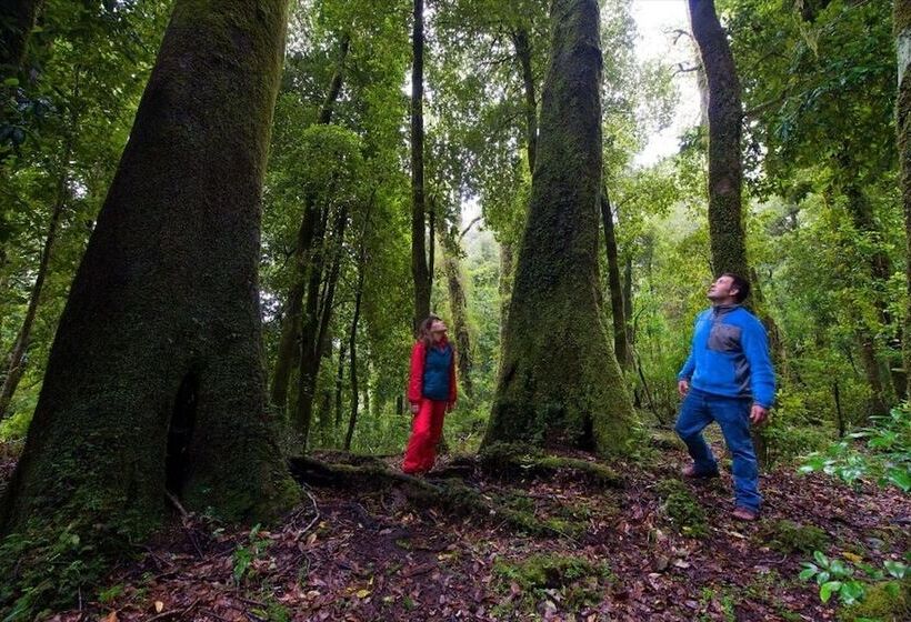 호텔 Cabañas Choshuenco