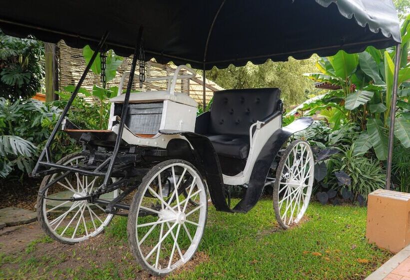 Отель Delirio Campestre