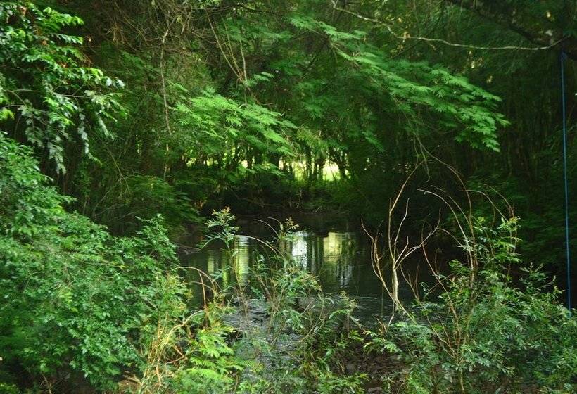 ホテル Coati Lodge