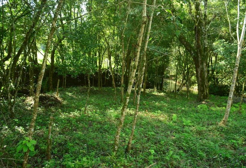 ホテル Coati Lodge