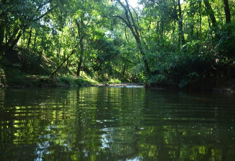 ホテル Coati Lodge