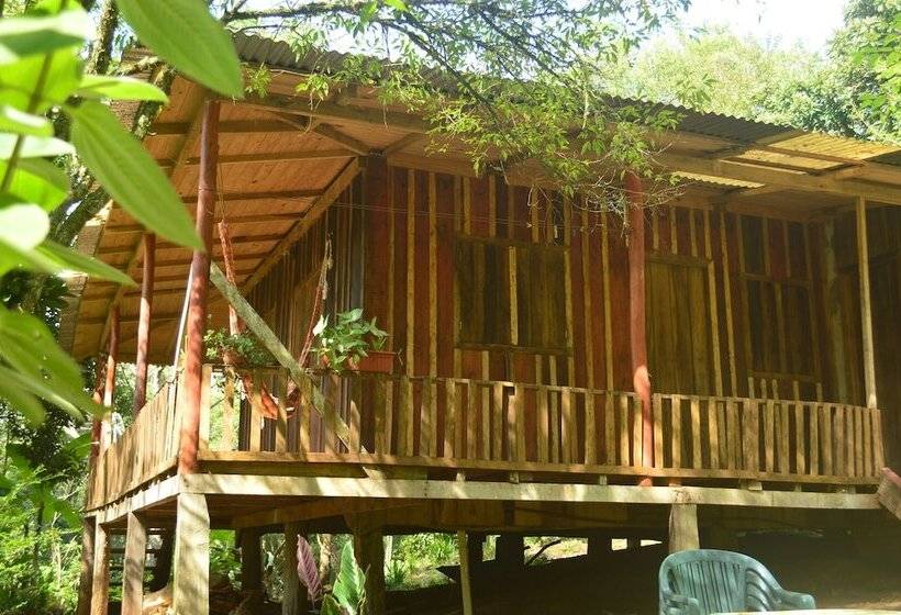 ホテル Coati Lodge