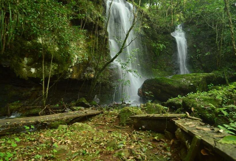 ホテル Coati Lodge