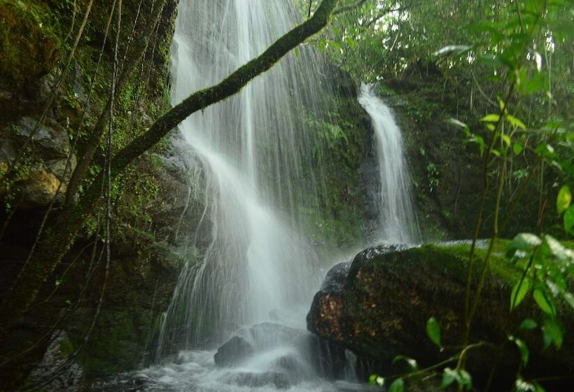 ホテル Coati Lodge