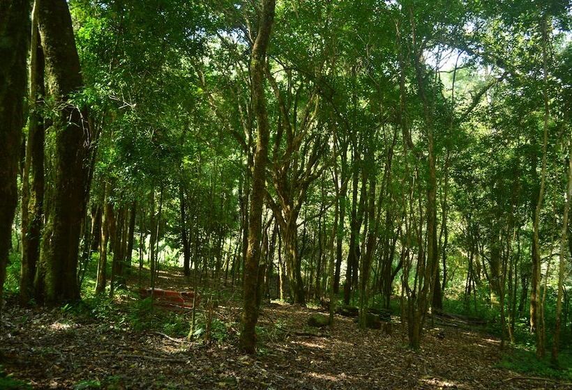 ホテル Coati Lodge