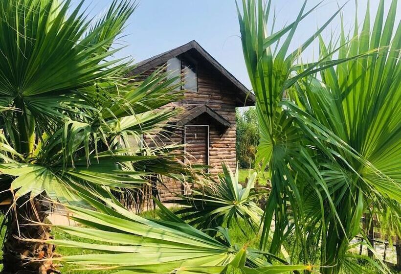 Отель Deniz Tesisleri