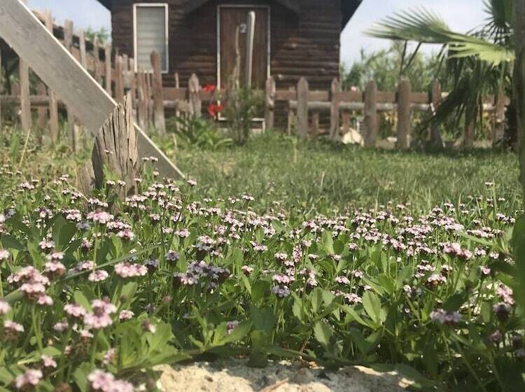 Отель Deniz Tesisleri