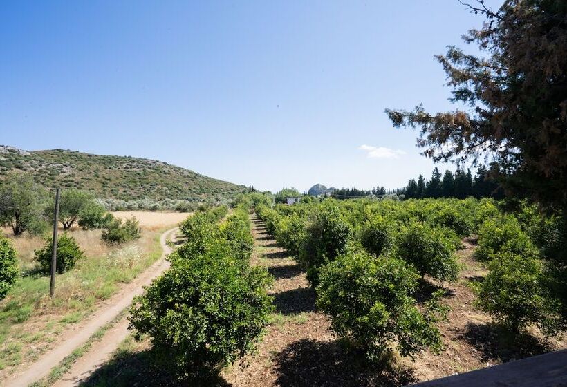 فندق Dort Mevsim Evi