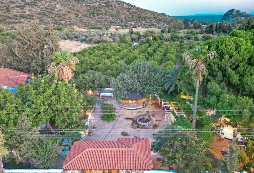 فندق Dort Mevsim Evi