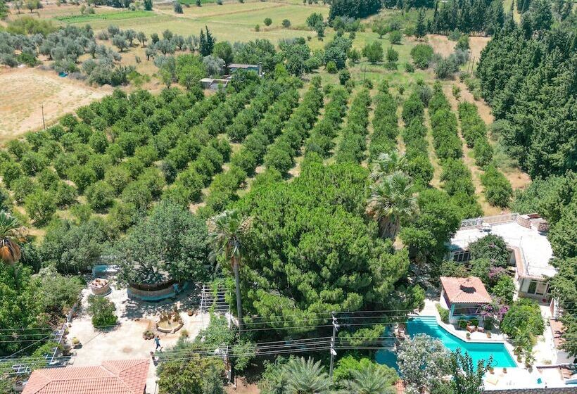 فندق Dort Mevsim Evi