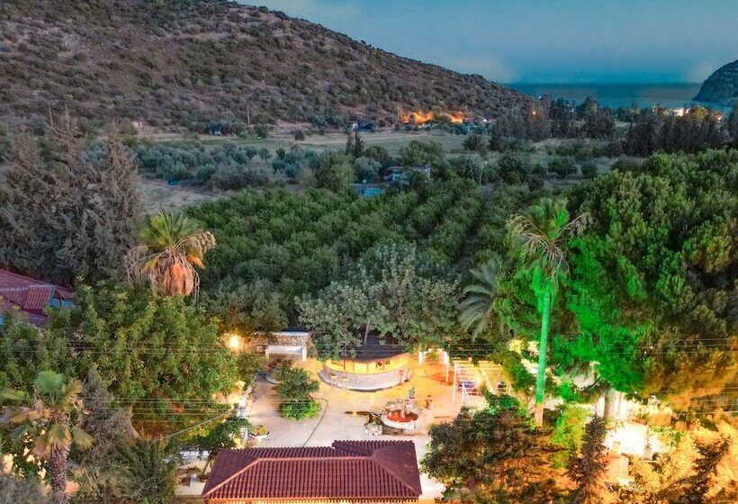 فندق Dort Mevsim Evi