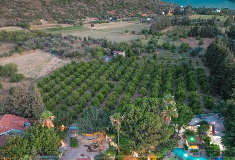 فندق Dort Mevsim Evi