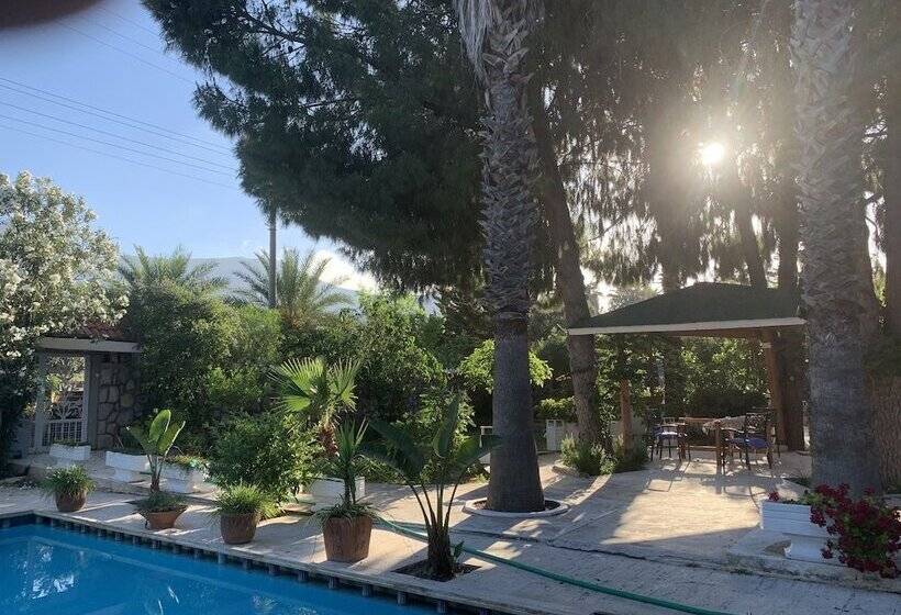 فندق Dort Mevsim Evi