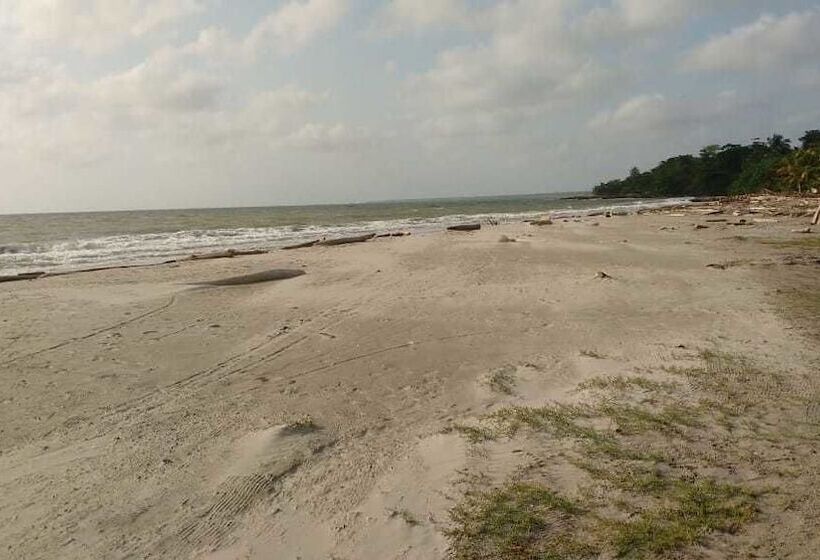 בית מלון כפרי El Eden De Necocli