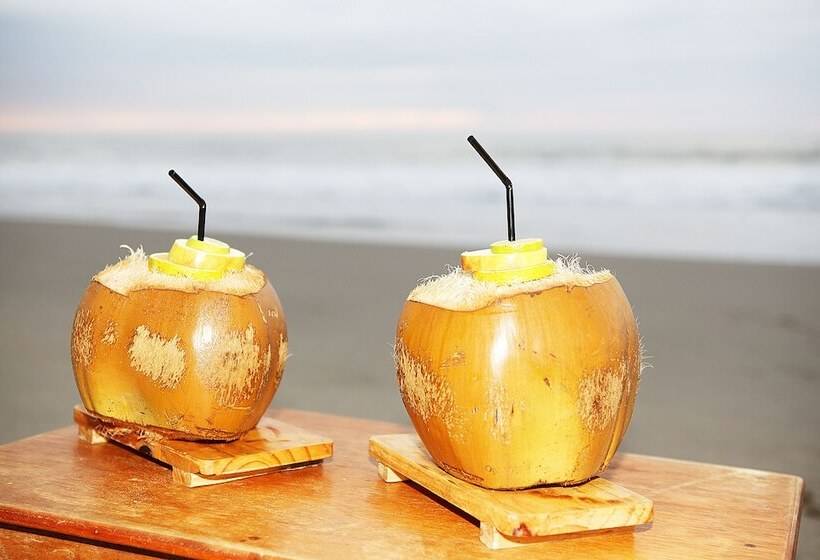 Отель El Mirador De Vichayito