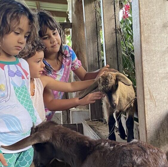 호텔 Finca Ometepe