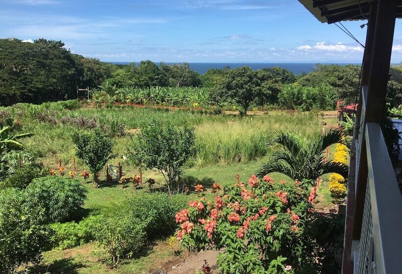 호텔 Finca Ometepe