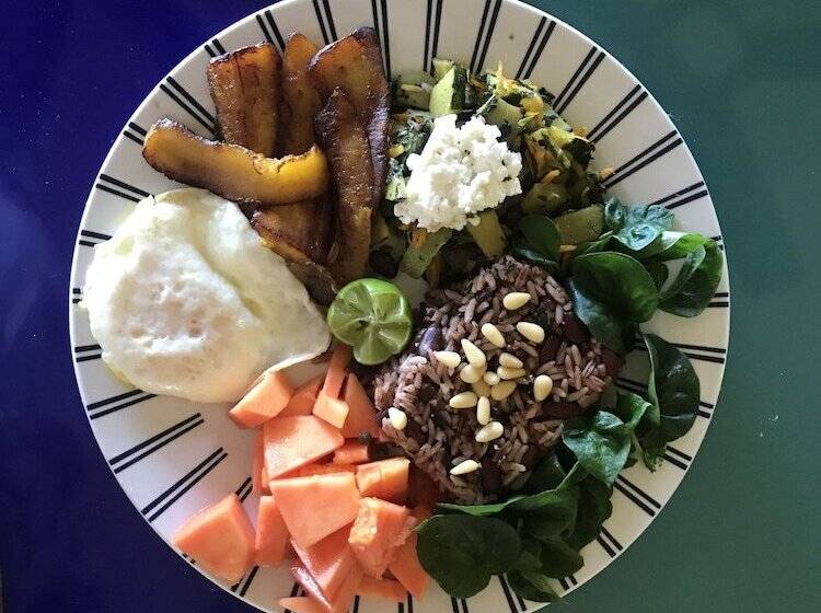 호텔 Finca Ometepe