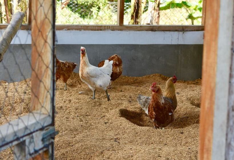 호텔 Finca Ometepe