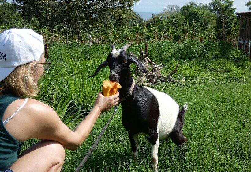 هتل Finca Ometepe